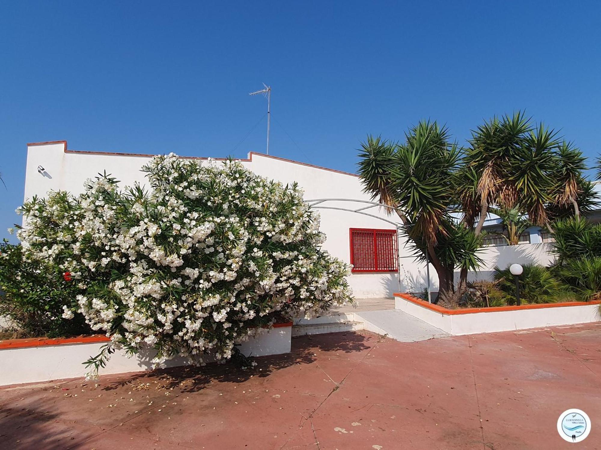 Villa La Rondinella - Torre San Giovanni Bagian luar foto